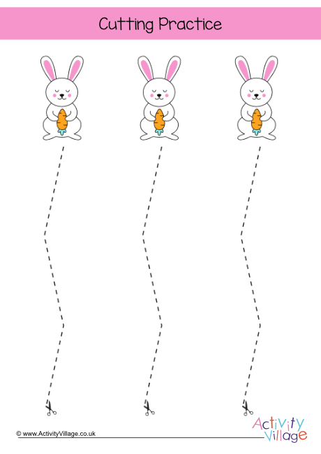 Bunny cutting practice