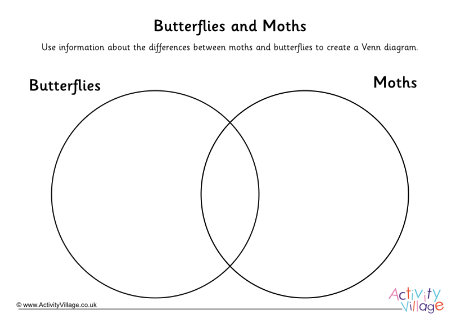 Butterflies and moths venn