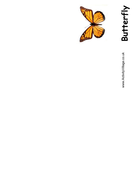 Butterfly booklet Butterfly booklet