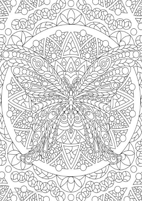 Butterfly doodle colouring page 1