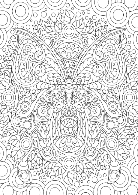 Butterfly doodle colouring page 3