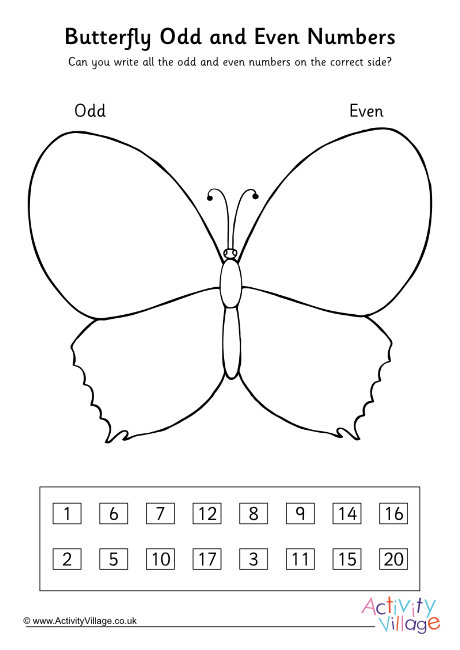 Butterfly odd and even numbers