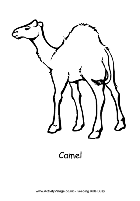 Camel colouring page