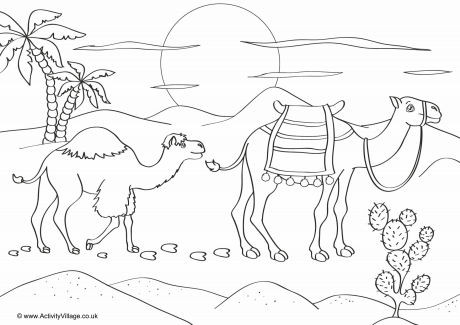 Download Camels Scene Colouring Page