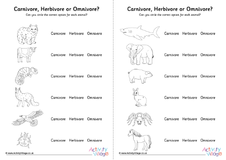 Carnivore herbivore omnivore worksheet