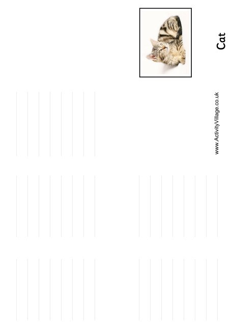 Cat Booklet Cat Booklet