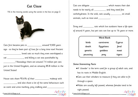 Cat Cloze