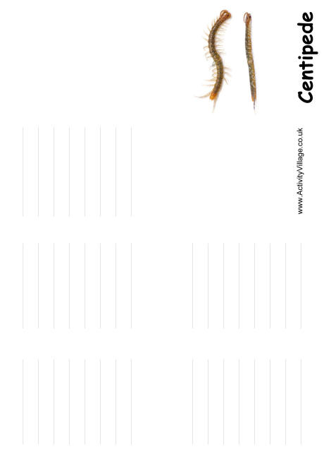 Centipede booklet