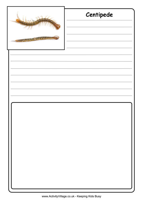 Centipede notebooking page