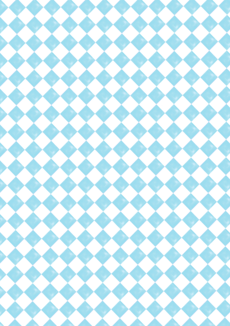 Charming Checks Scrapbook Paper Blue