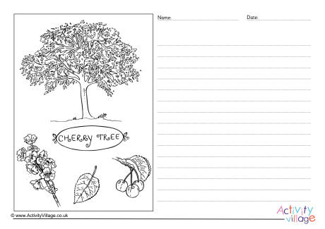 Cherry Tree Story Paper
