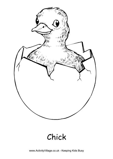 Chick colouring page 2