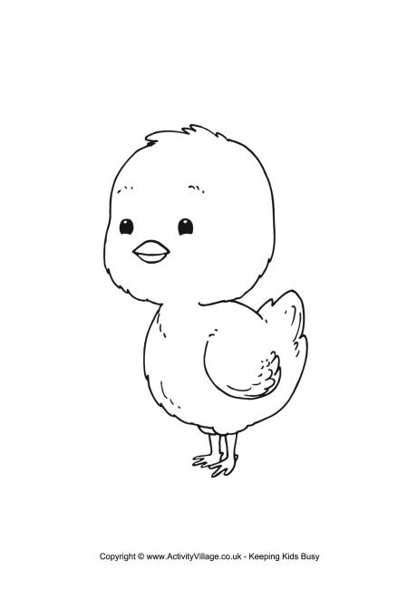 Chick colouring page 3