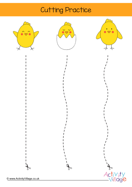 Chick cutting practice