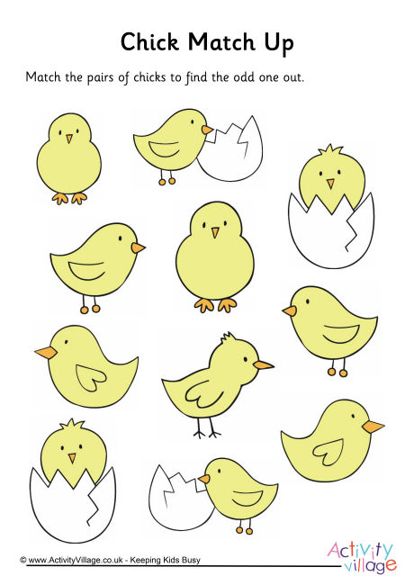 Chick match up
