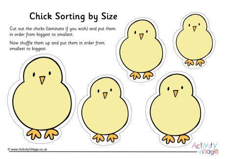Chick Size Sorting
