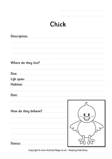 chick worksheet