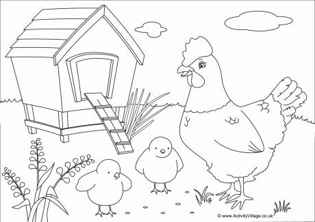 Chickens Scene Colouring Page