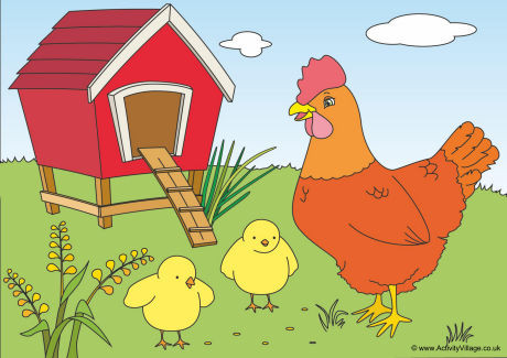 Chickens Scene Poster