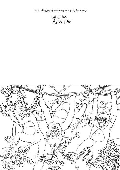 Chimpanzee Scene Colouring Card