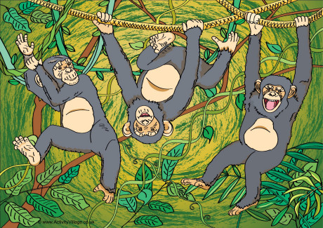 Chimpanzee Scene Poster