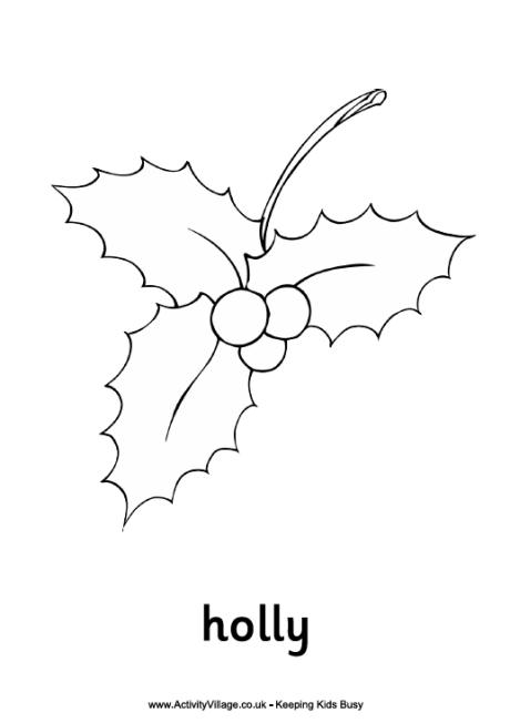 Christmas holly colouring page
