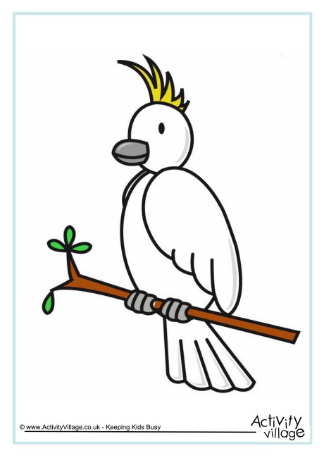 Cockatoo poster Cockatoo poster