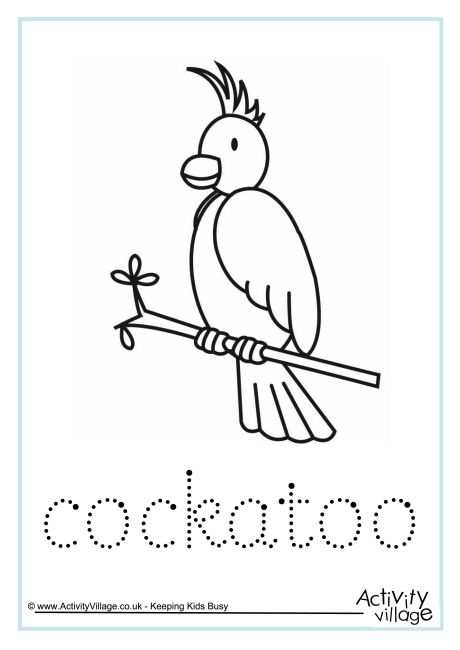 Cockatoo word tracing