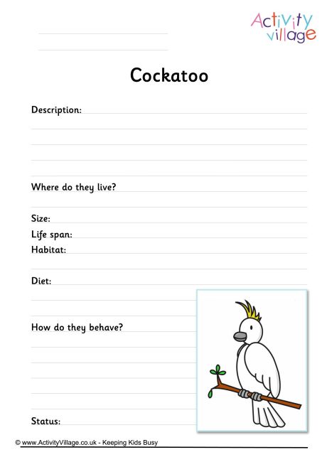 Cockatoo worksheet