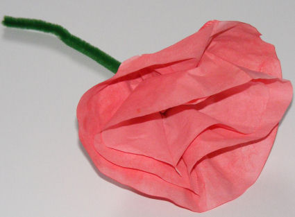 Coffee Filter Rose