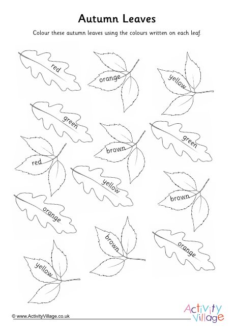 Colour the autumn leaves