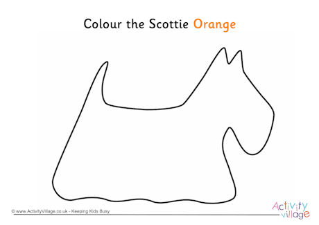 Colour the Scottie orange