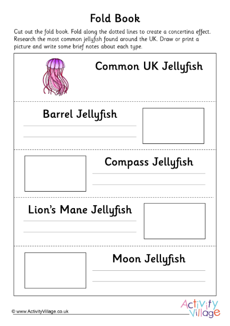 Common UK jellyfish fold book