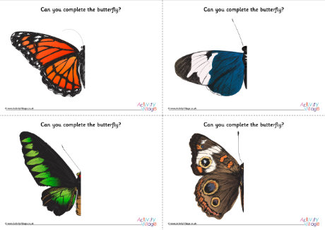 Complete the butterfly