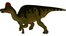 Corythosaurus