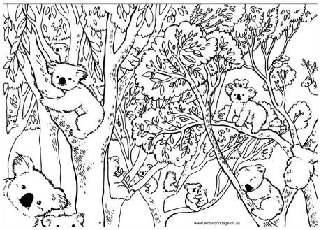 Count the koalas puzzle and colouring page