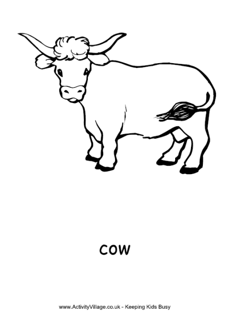 Cow colouring page 2