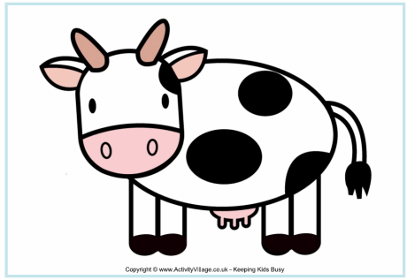 Cow poster