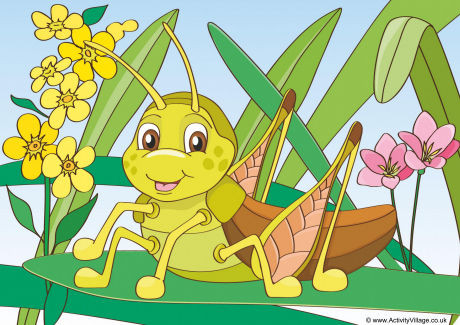 Crickets Scene Poster