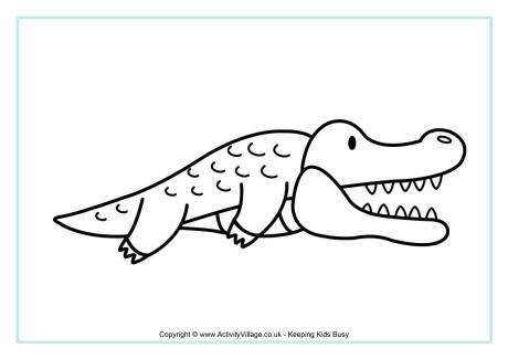 Crocodile colouring page