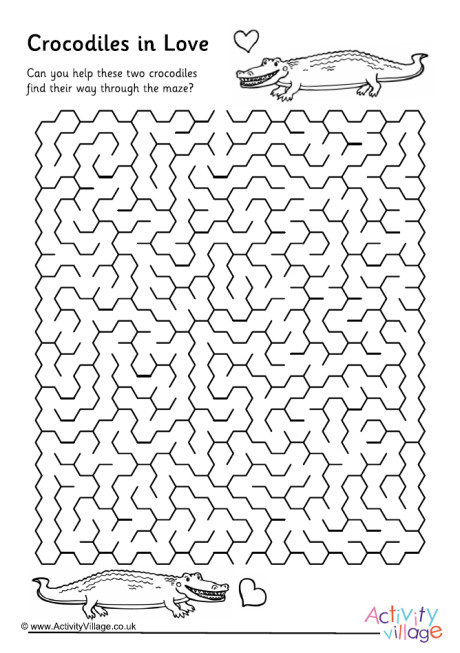 Crocodiles in love maze