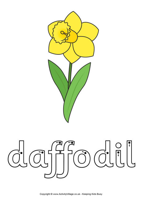 Daffodil finger tracing Daffodil finger tracing