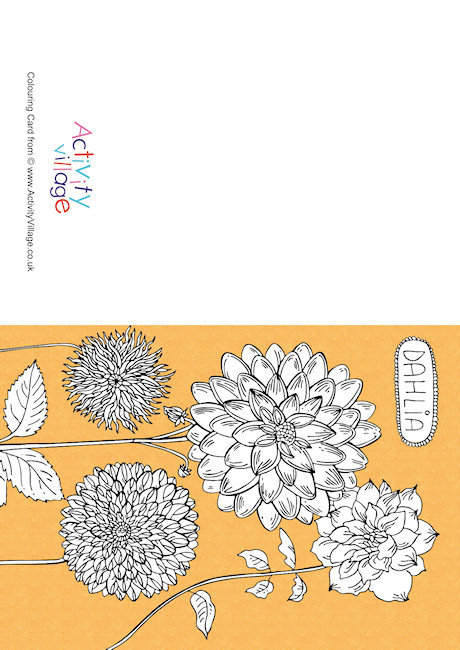 Dahlia Colour Pop Colouring Card