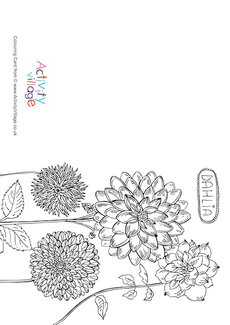 Dahlia Colouring Card