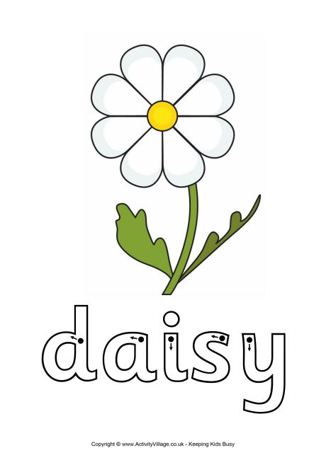 Daisy finger tracing