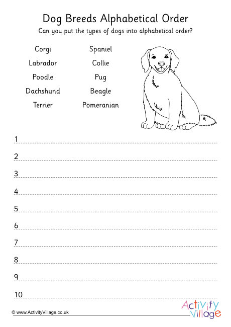 Dog Breeds Alphabetical Order