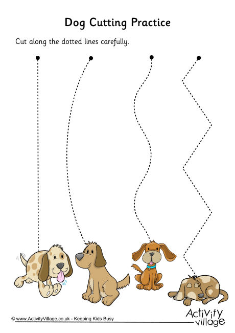 Dog Cutting Practice Dog Cutting Practice