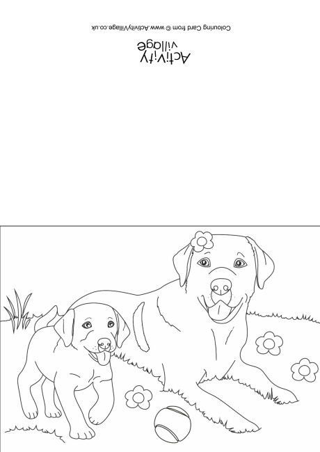 Dogs Scene Colouring Card