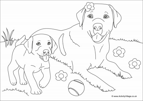 Dogs Scene Colouring Page
