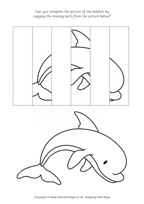 Complete the dolphin picture